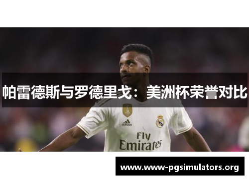 帕雷德斯与罗德里戈：美洲杯荣誉对比