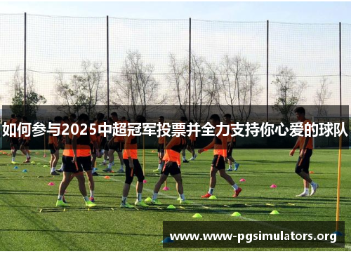 如何参与2025中超冠军投票并全力支持你心爱的球队
