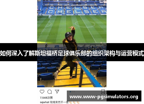 如何深入了解斯坦福桥足球俱乐部的组织架构与运营模式