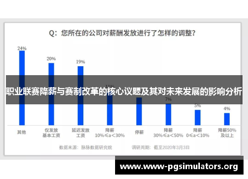 职业联赛降薪与赛制改革的核心议题及其对未来发展的影响分析
