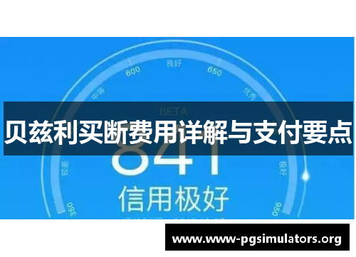 贝兹利买断费用详解与支付要点