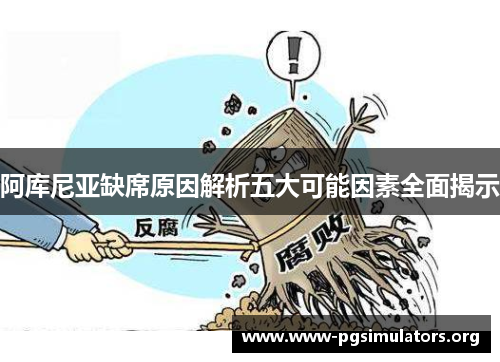 阿库尼亚缺席原因解析五大可能因素全面揭示