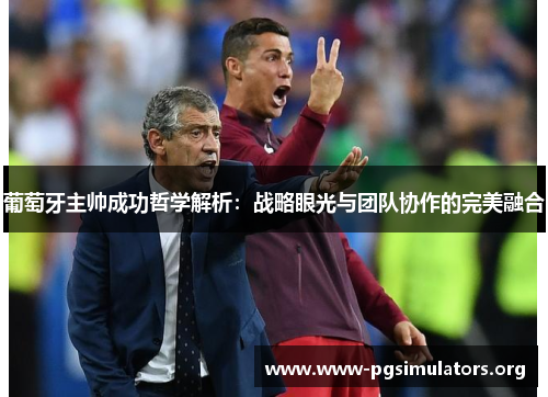葡萄牙主帅成功哲学解析：战略眼光与团队协作的完美融合